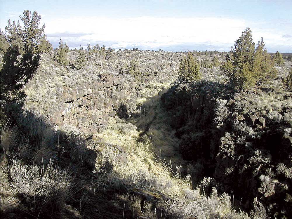 3e308d5d4c3ff5085cacf1174348fb5d.jpg?w=1