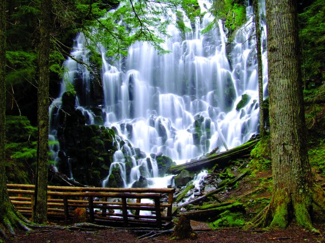 New hiking guidebook includes accessible trails, gems across Oregon