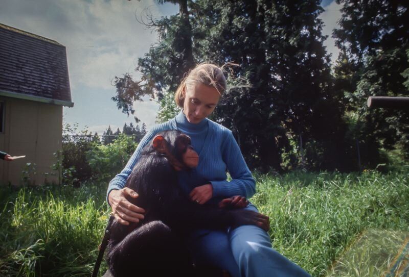 Commentary: Honoring Jane Goodall by protecting Oregon’s wildlife