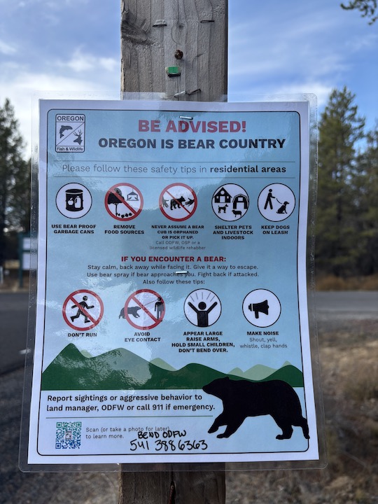 Officials warn of increased bear activity near Sunriver