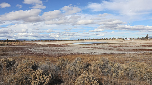 Redmond wetlands project will expand wastewater treatment – bendbulletin.com