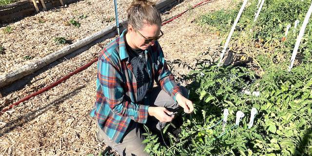 Oregon farmers launch network for small-scale growers in arid regions