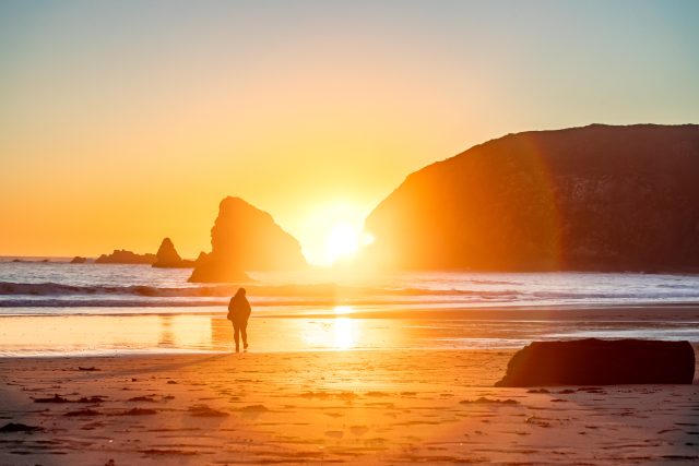 Find dramatic ocean views at Brookings’ Harris Beach State Park