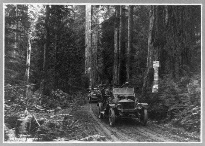 Guest column: The dark side of our car culture