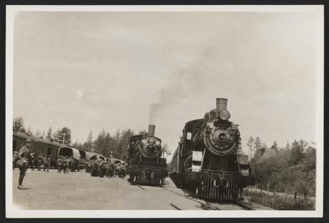 Yesteryear: Golden eagle rescued from trap in 1976