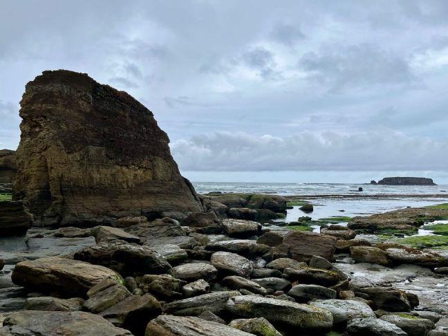 bendbulletin.com - none - Oregon Legislature votes to give cities, counties flexibility in tourism revenue